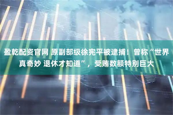 盈乾配资官网 原副部级徐宪平被逮捕！曾称“世界真奇妙 退休才知道”，受贿数额特别巨大